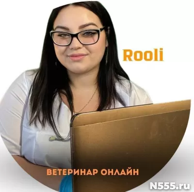 Ветеринар/Консультации онлайн 24/7